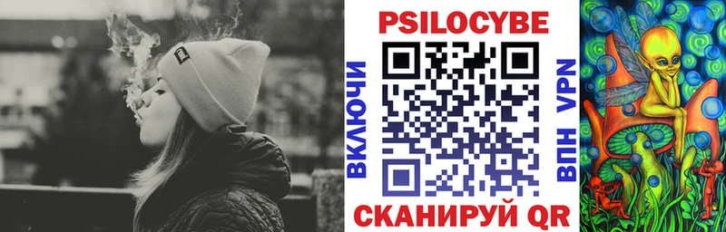 Псилоцибиновые грибы Psilocybine cubensis  Аткарск 